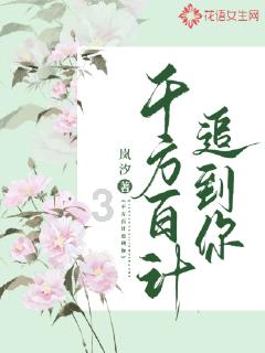 蓝狐视频